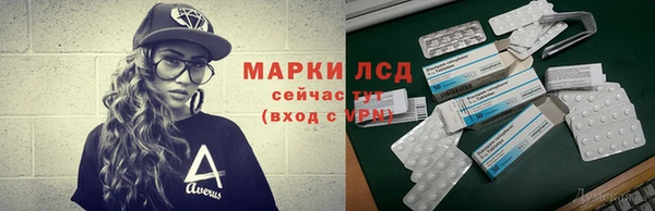 mdpv Новодвинск