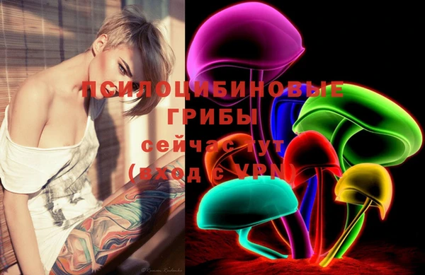 mdpv Новодвинск